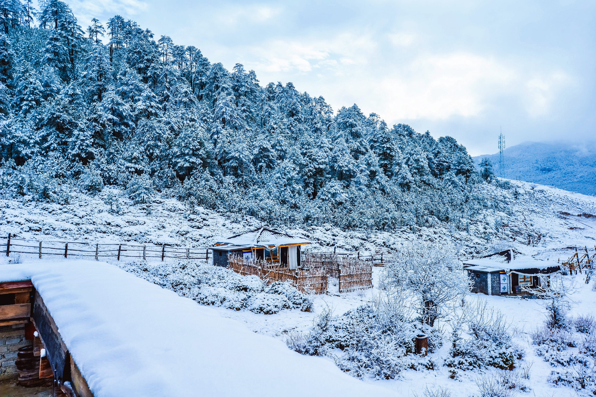 雪后的林子与帐篷屋